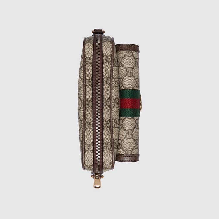 746308.96IWT.8745.012.069.0000.Light Ophidia GG mini bag